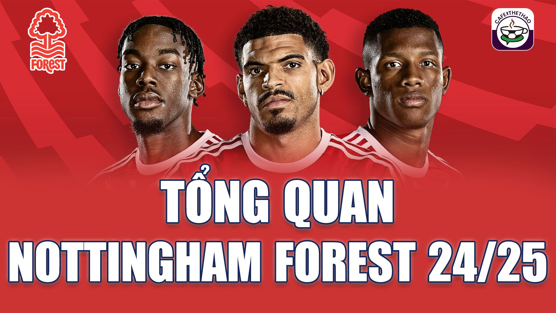 Nhận định Nottingham Forest tại Ngoại hạng Anh 24/25: Cuộc chiến trụ hạng đầy cam go