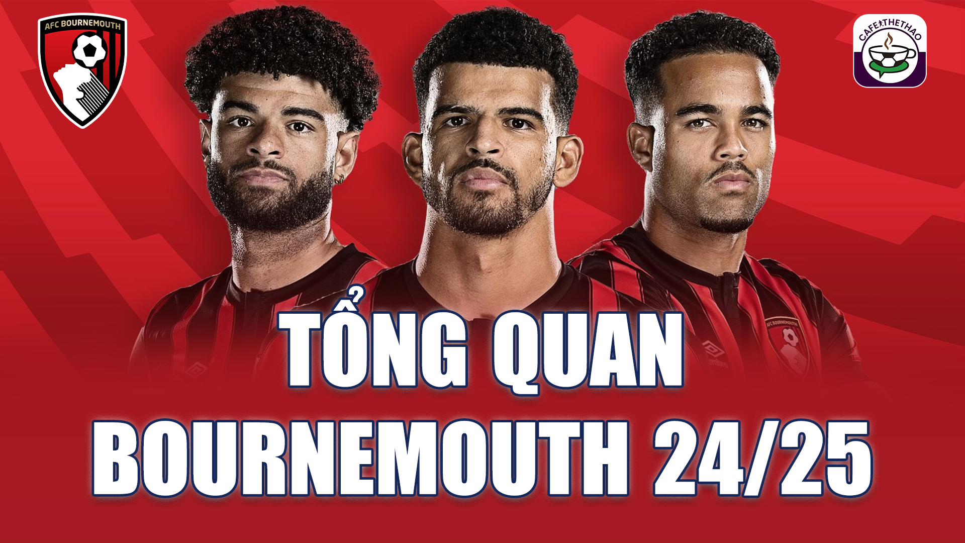 Tổng quan Bournemouth NHA 24/25 - Cafe Thể Thao