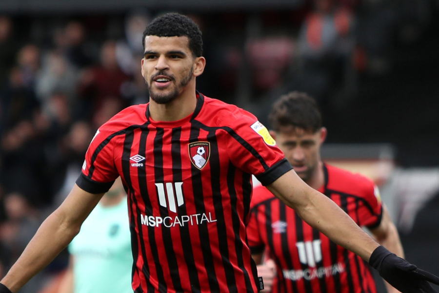 Solanke có mùa giải bùng nổ cùng Bournemouth.