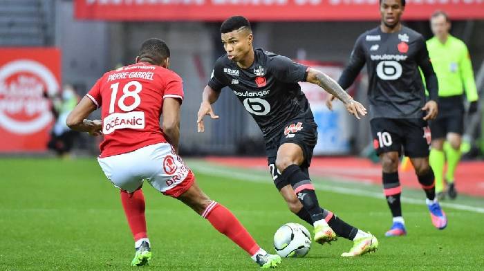 Nhận định bóng đá Lille vs Brest, 01h00 ngày 7/12: Chuyến đi bão táp